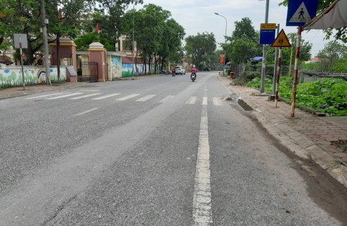 Bán gấp 80m2 đất phân lô Nam Hồng Đông Anh Hà Nội mặt đường ô tô tải tránh chỉ 4 tỷ.
